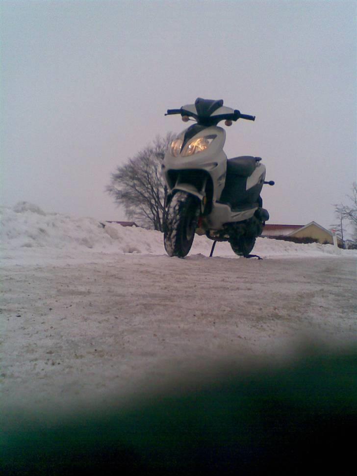 Giantco stealth  billede 6