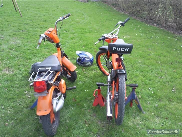 Puch maxi  billede 17