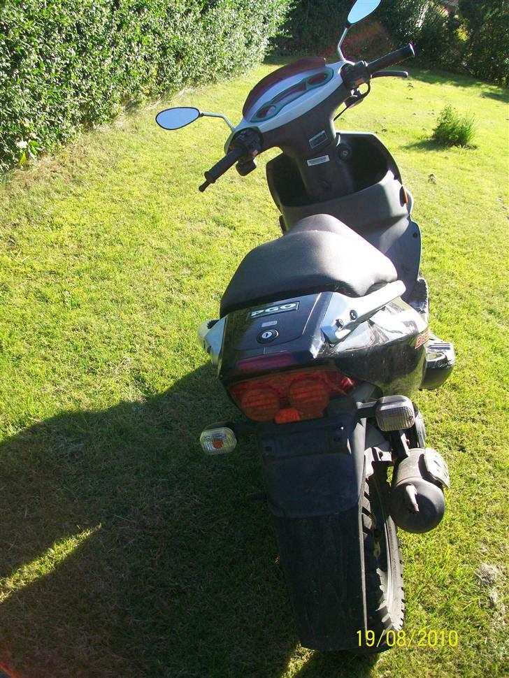 PGO Dr. Big billede 4