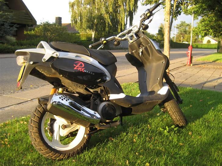 PGO Pmx Naked billede 1