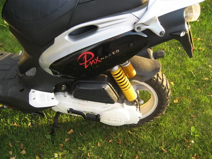 PGO Pmx Naked billede 2