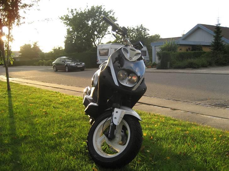 PGO Pmx Naked billede 3