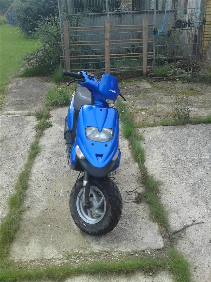 Gilera Stalker Til salg billede 2