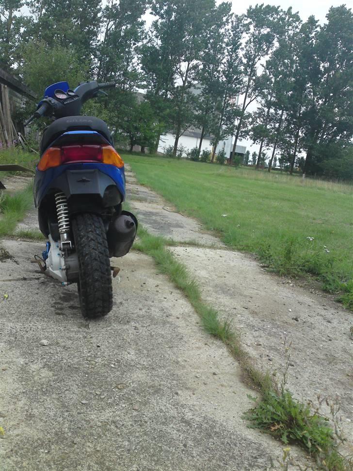 Gilera Stalker Til salg billede 5