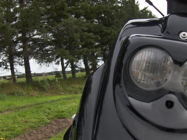 PGO Hot 50 billede 10