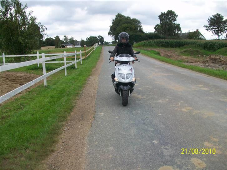 PGO Dr. Big billede 6