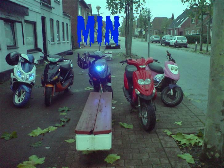 Adly TMP gazelle AC Solgt billede 13