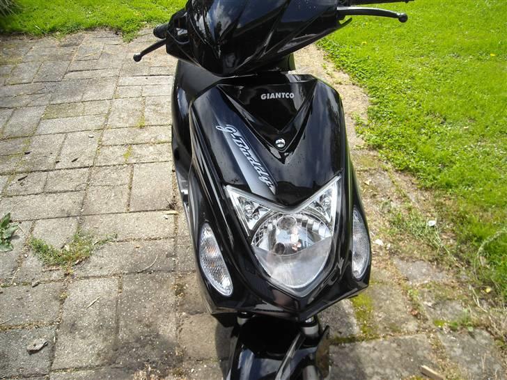 Giantco G-buddy BYTTES  billede 3