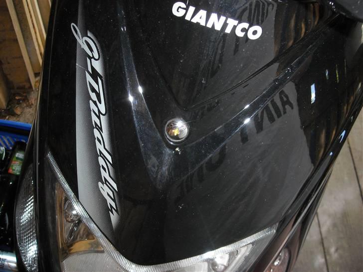 Giantco G-buddy BYTTES  billede 8