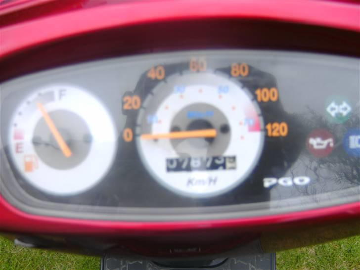 PGO big max solgt  billede 5