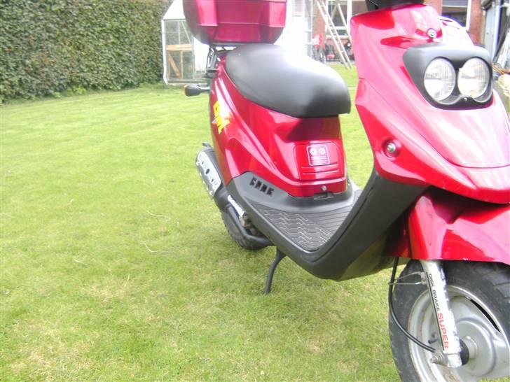 PGO big max solgt  billede 8