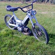 Puch maxi kl