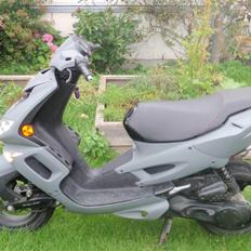 Peugeot speedfight 2