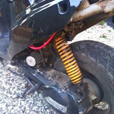 PGO Hot 50 (byttet til BWS)