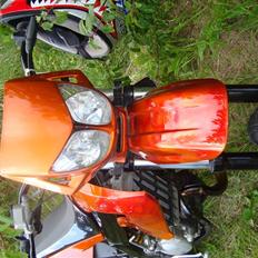 Derbi Senda LC DD *Airbrush*