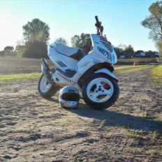 Peugeot speedfight 2