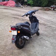 PGO Big Max
