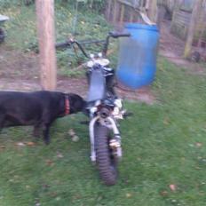 MiniBike dirtbike BYTTET til DR. BIG