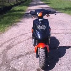 PGO hot 50 ORANGE/SORT (SOLGT)