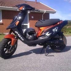 PGO hot 50 ORANGE/SORT (SOLGT)