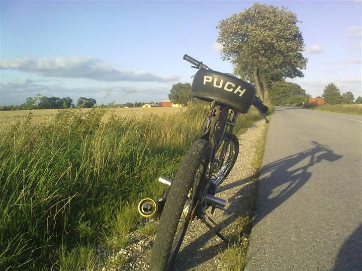 Puch Maxi K billede 5