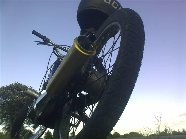 Puch Maxi K billede 13