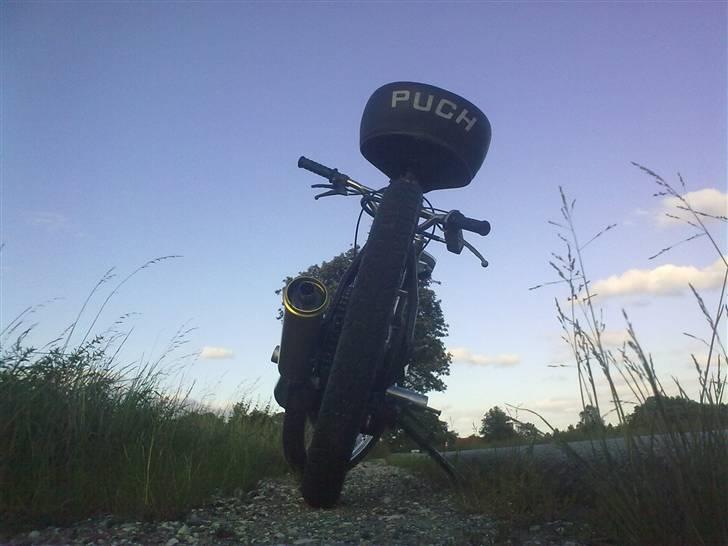 Puch Maxi K billede 14