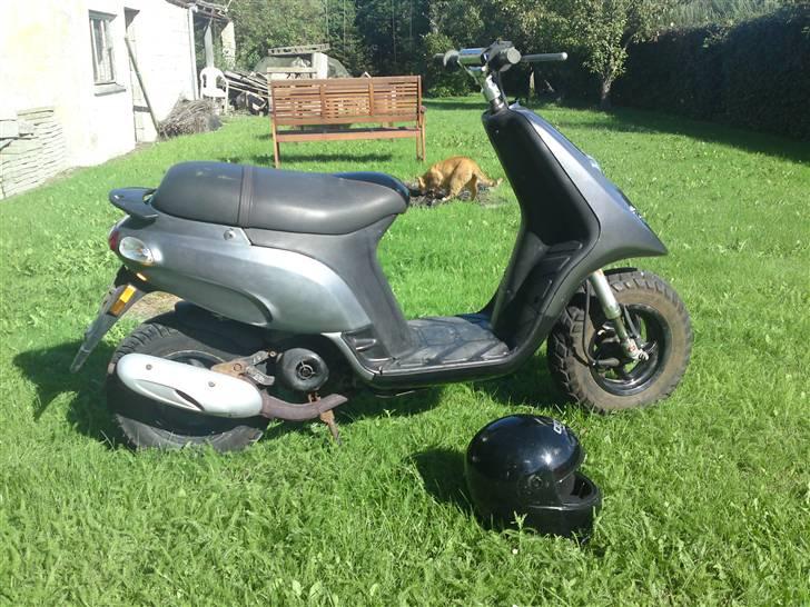 Piaggio Typhoon billede 5