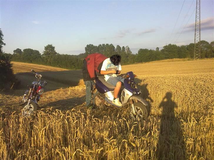 Aprilia Rally 45 (Smadret) billede 11