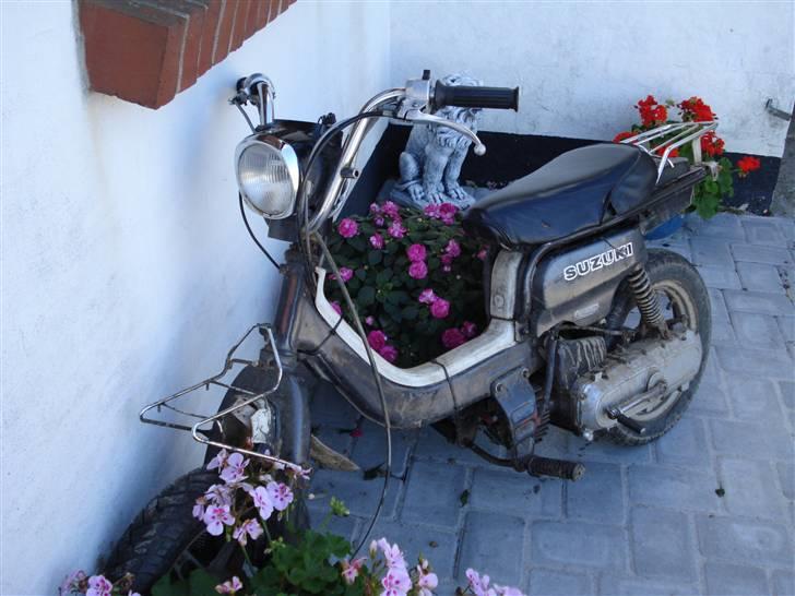 Suzuki FZ50 byttet caio billede 15