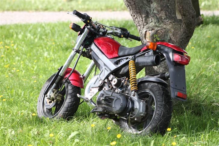 Suzuki Street Magic [TIL SALG] billede 19