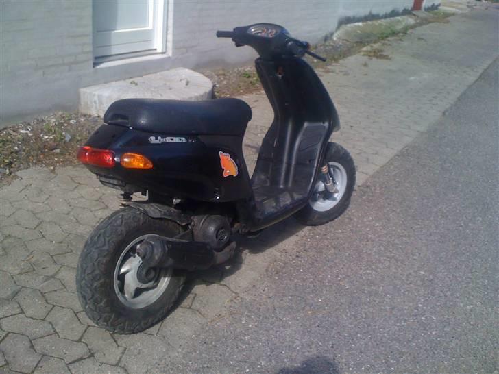 Piaggio typhoon solgt billede 2