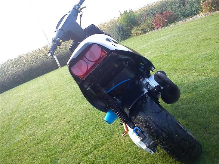 PGO Hot 50 byttet billede 7