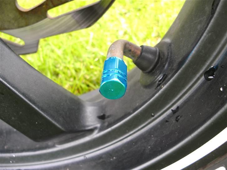 PGO Hot 50 SP - Blå ventil hætte billede 20