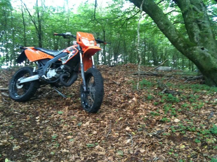 Derbi Senda billede 15