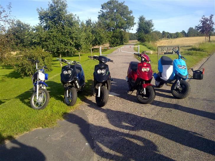 PGO hot 50 byttet  billede 5