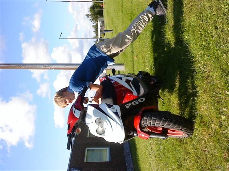 PGO Hot 50 (FØR) billede 4