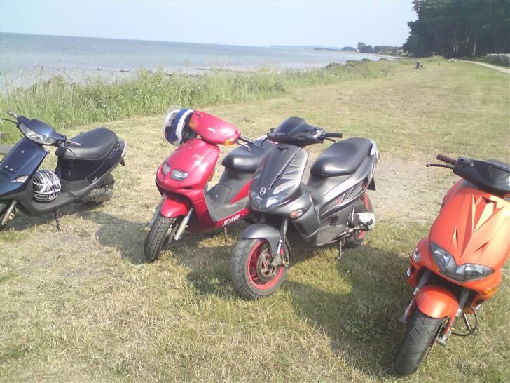 Gilera Runner AC DD billede 10