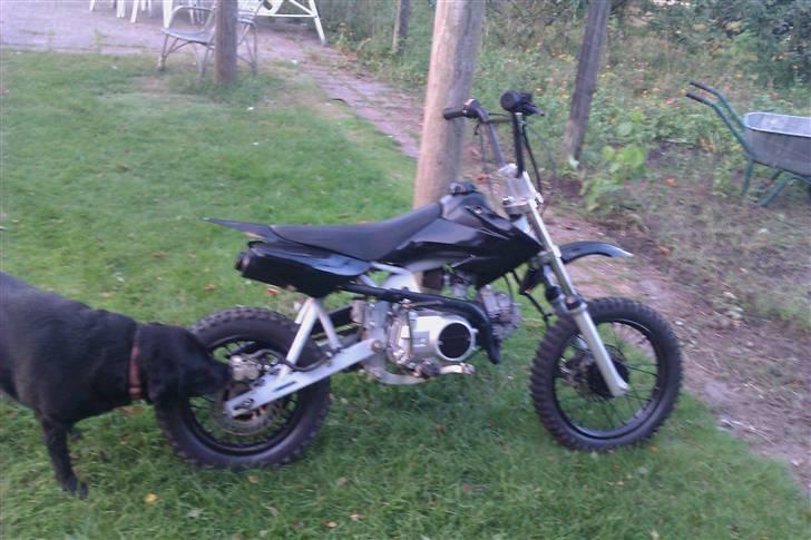 MiniBike dirtbike BYTTET til DR. BIG billede 1