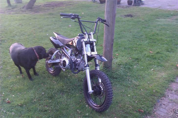 MiniBike dirtbike BYTTET til DR. BIG billede 2