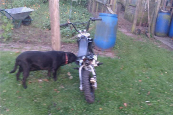MiniBike dirtbike BYTTET til DR. BIG billede 3
