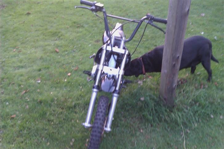 MiniBike dirtbike BYTTET til DR. BIG billede 4