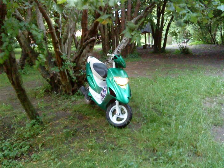 Honda SFX Byttes! billede 12