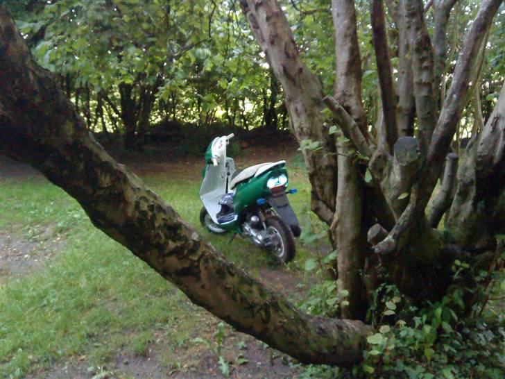 Honda SFX Byttes! billede 13