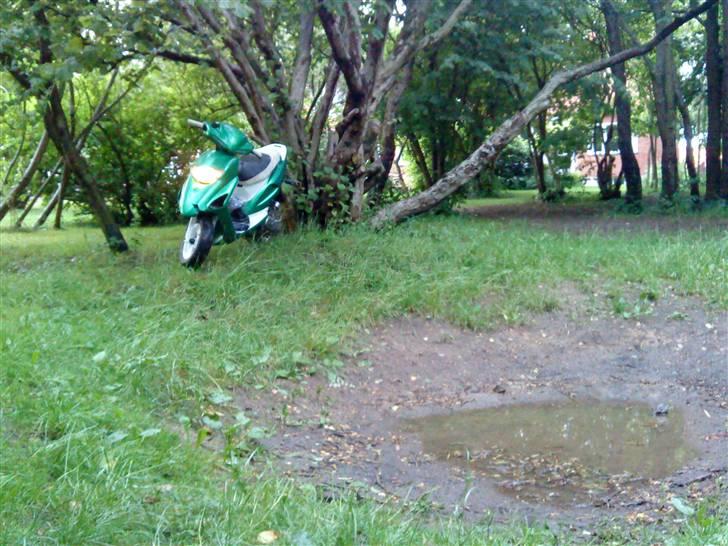 Honda SFX Byttes! billede 14