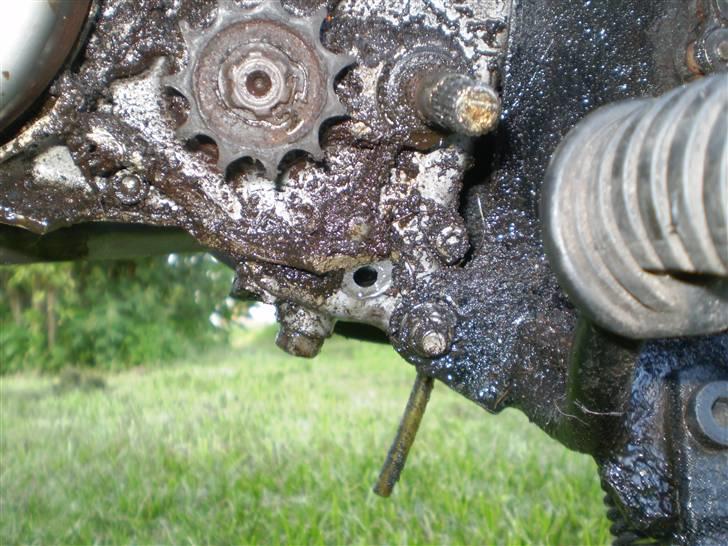 Suzuki DM 50 byttet til DT125 billede 6