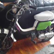 Suzuki fz50     