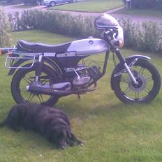 Puch monza 4sl efter