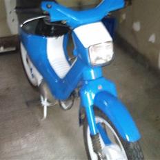 Honda wallaroo (SOLGT)