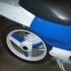 Honda wallaroo (SOLGT)